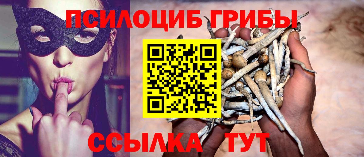 Псилоцибиновые грибы Psilocybine cubensis  Вход с VPN  Ноябрьск 